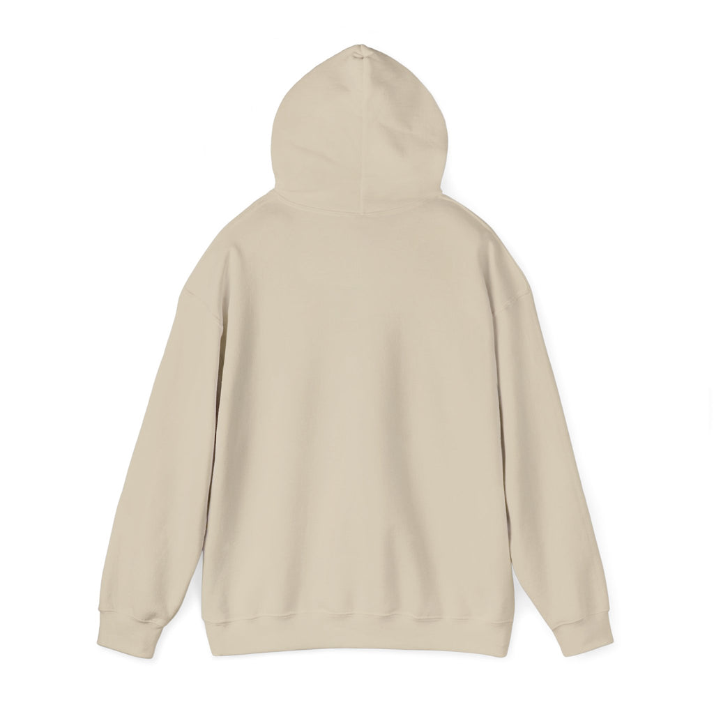 Neutral muted rainbow hoodie | boho rainbow arc, desert arc design
