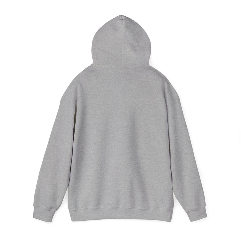 Neutral muted rainbow hoodie | boho rainbow arc, desert arc design